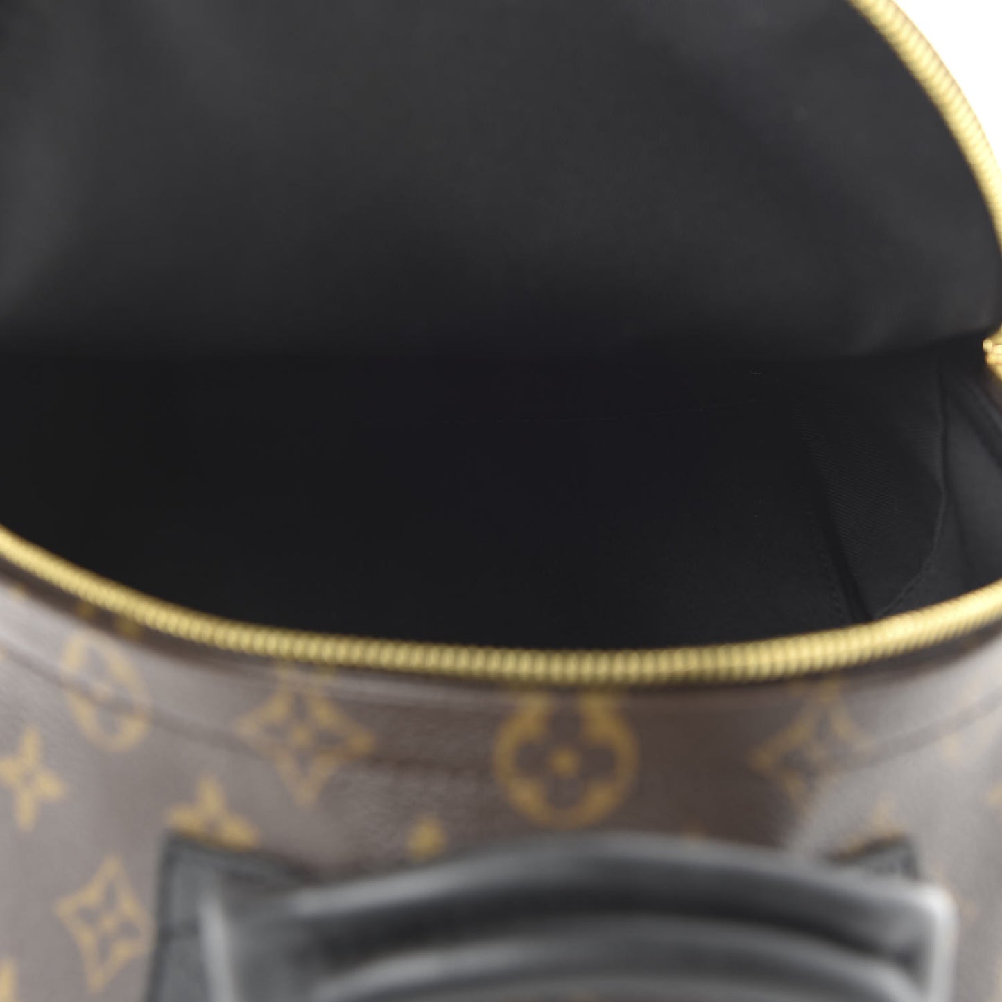 Monogram Palm Springs Backpack PM
