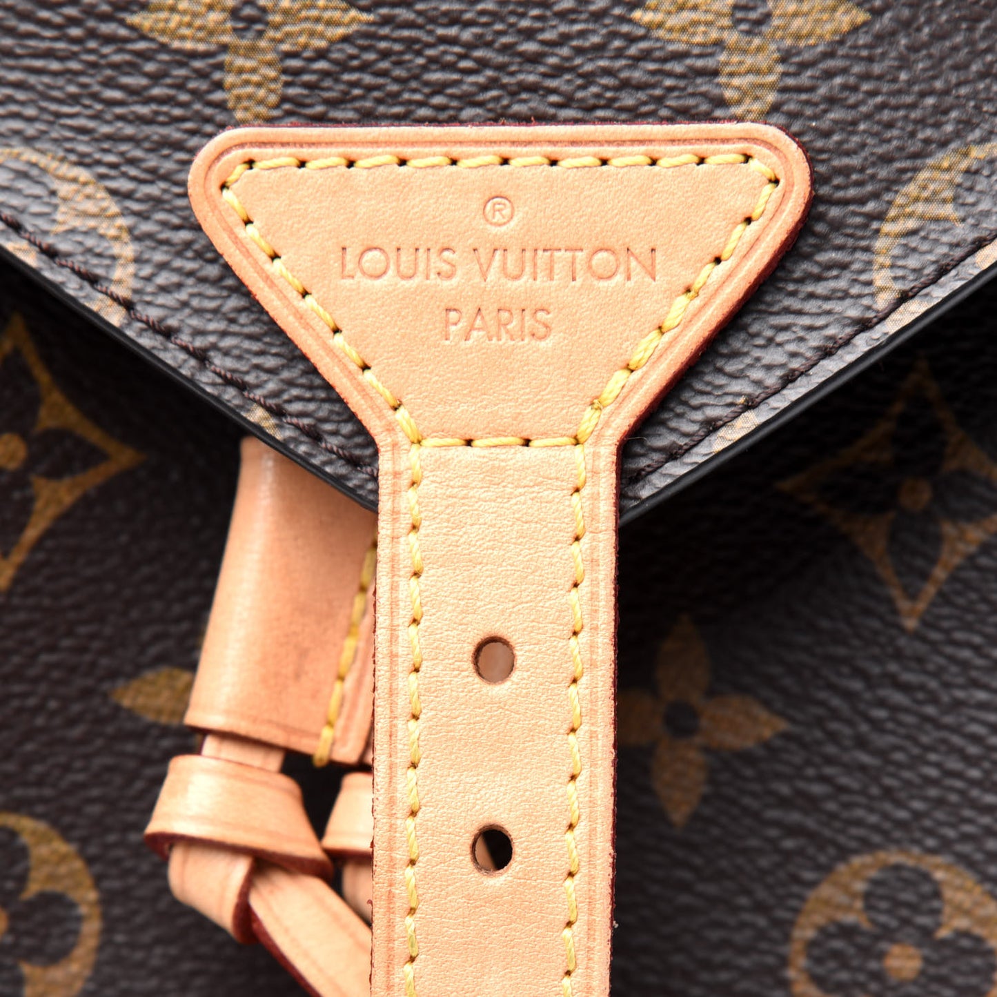 Monogram Montsouris NM Backpack