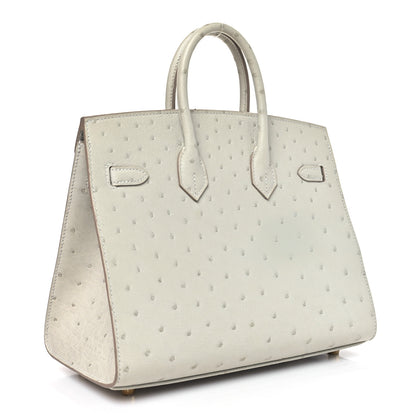 Hermes Ostrich Birkin Sellier 25 Gris Perle 2 of 10