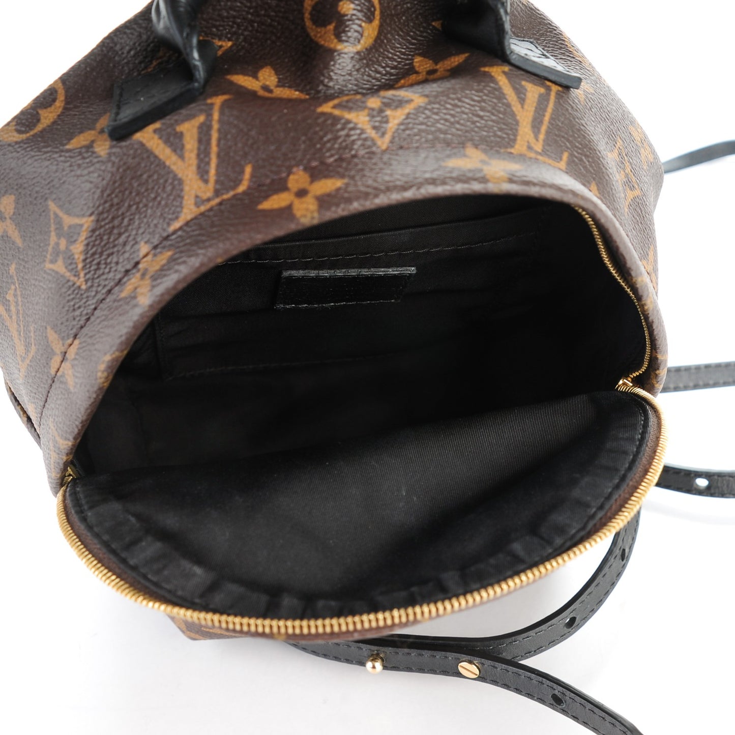 Monogram Palm Springs Backpack Mini