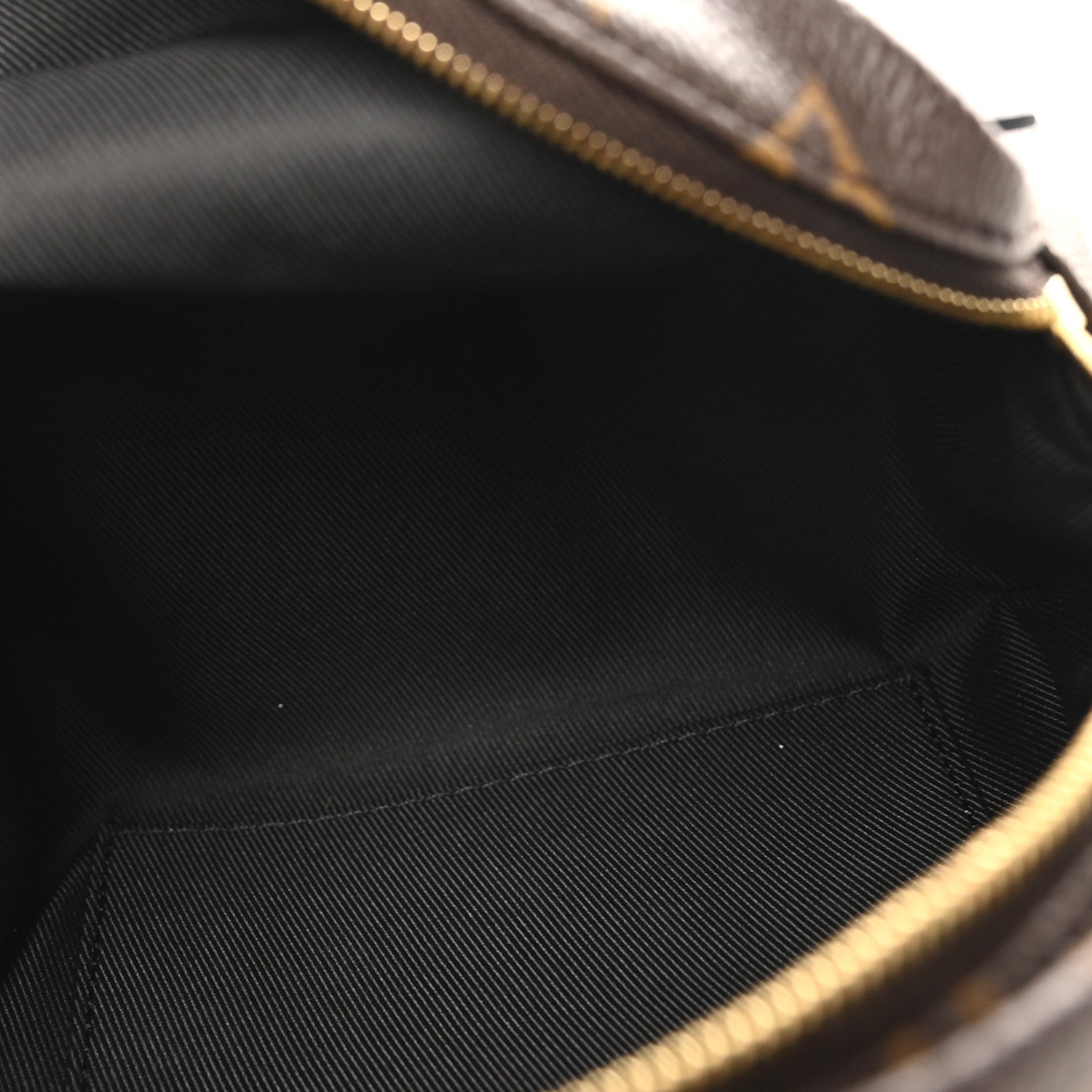 Louis Vuitton Monogram Palm Springs Backpack Mini 4 of 8