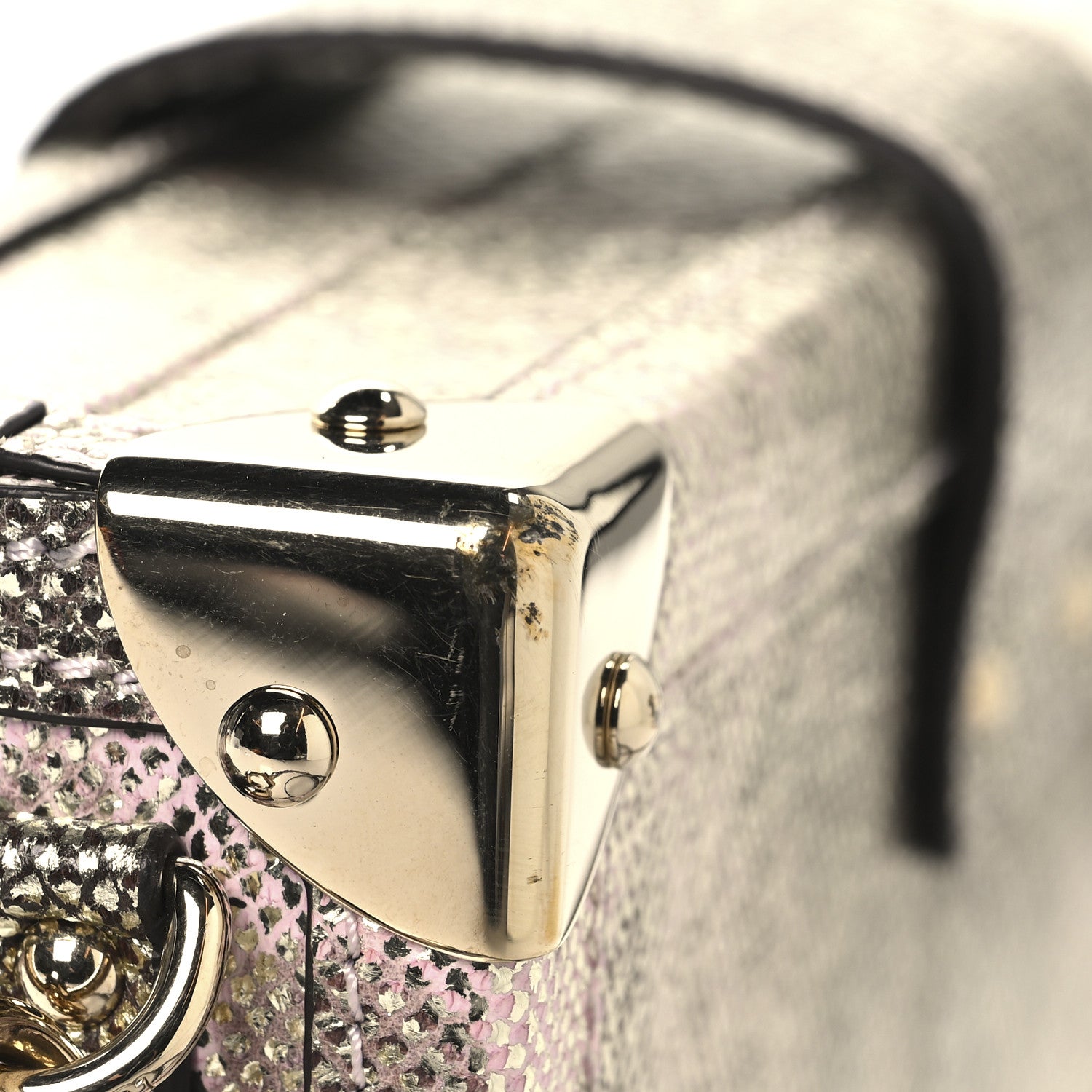 Louis Vuitton Lizard Petite Malle Silver 11 of 12