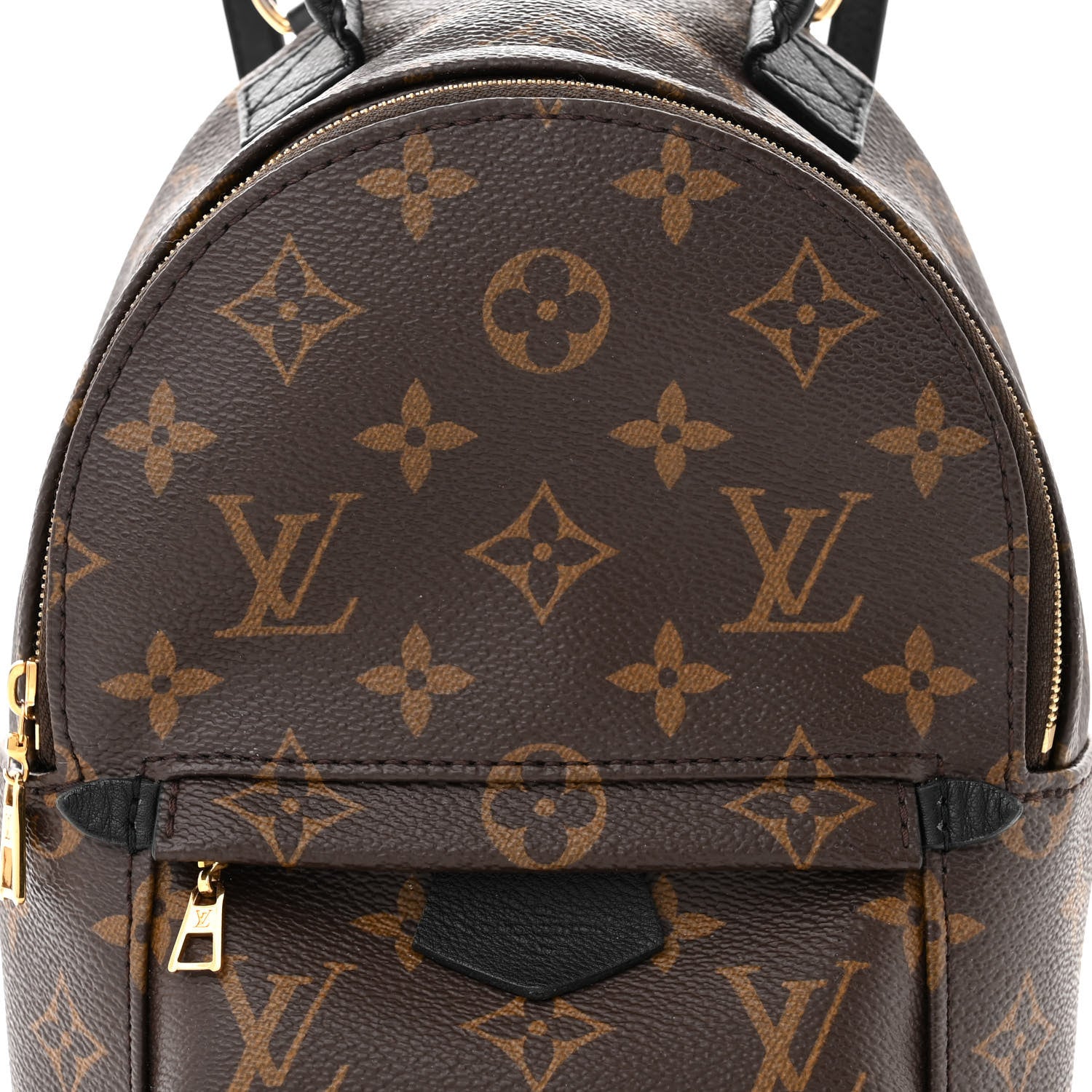 Louis Vuitton Monogram Palm Springs Backpack Mini 8 of 10