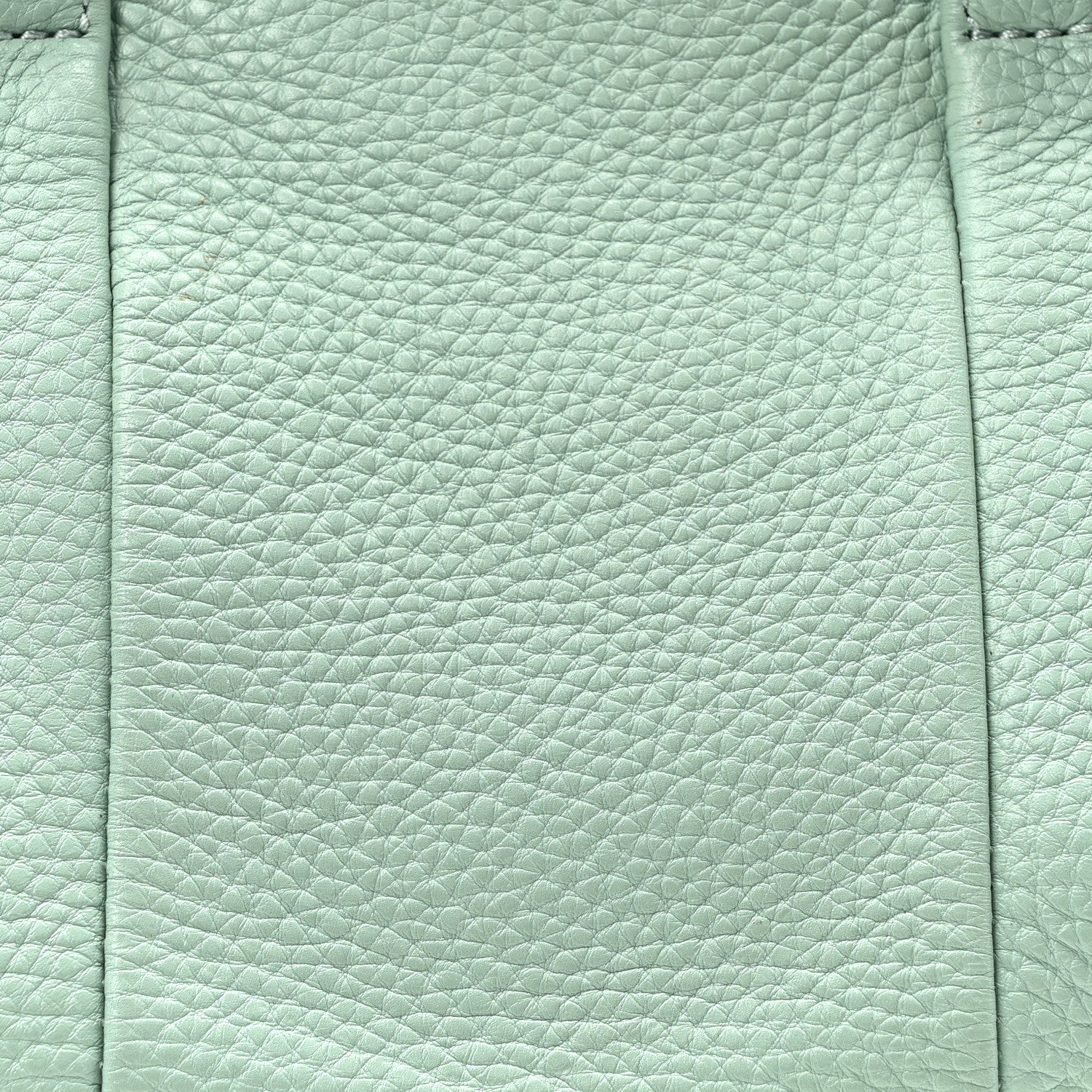 Alexander Wang Pebbled Lambskin Rocco Peppermint 7 of 9