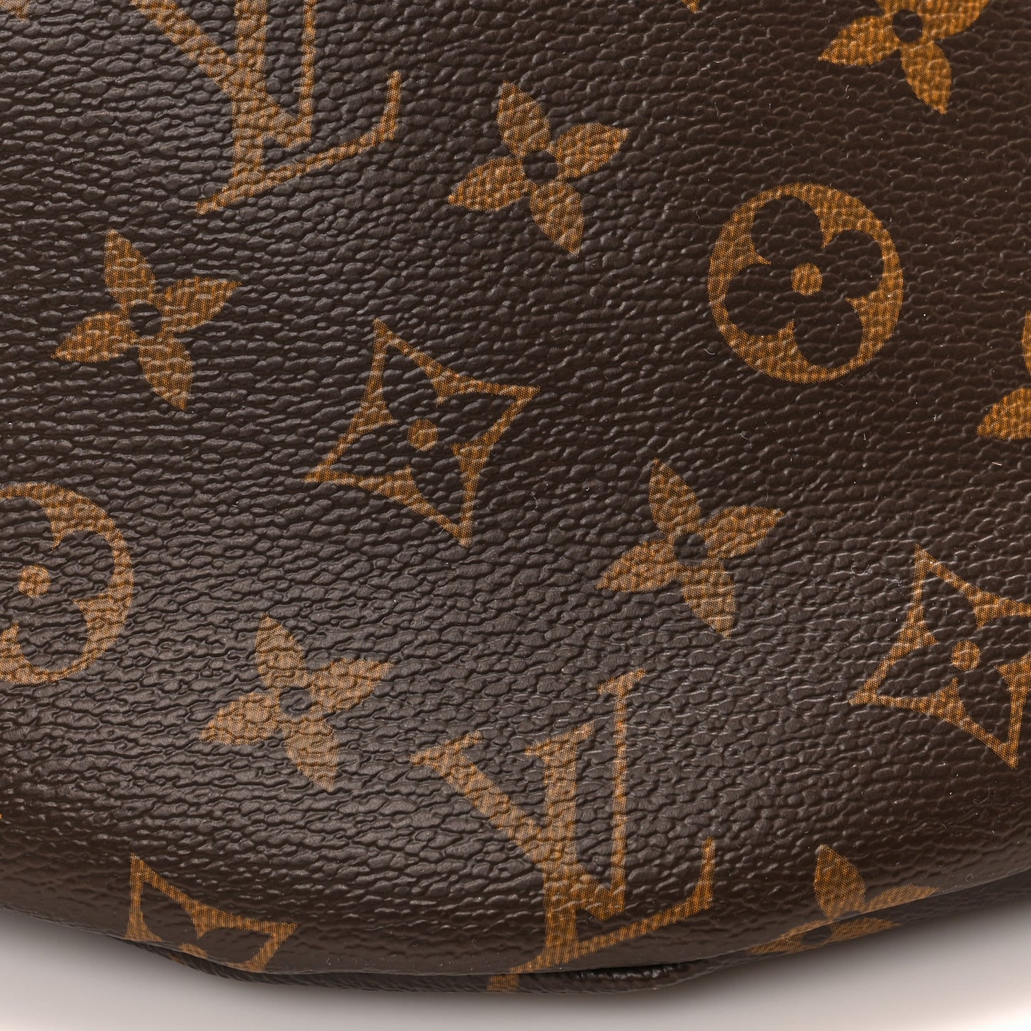Monogram My LV World Tour Bumbag