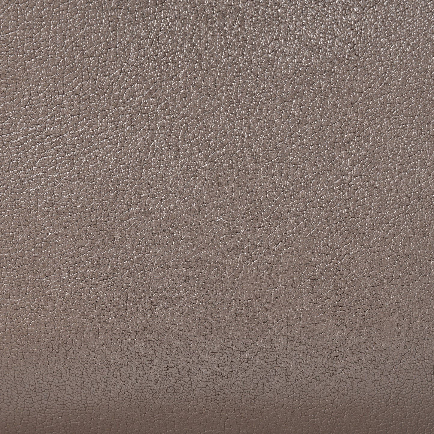 Sugar Goatskin Medium Antigona Sand