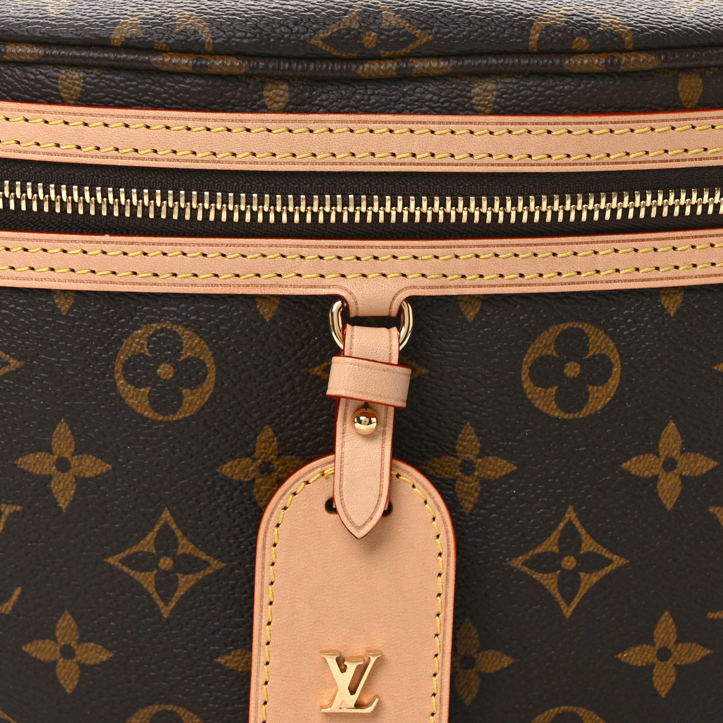 Monogram High Rise Bumbag