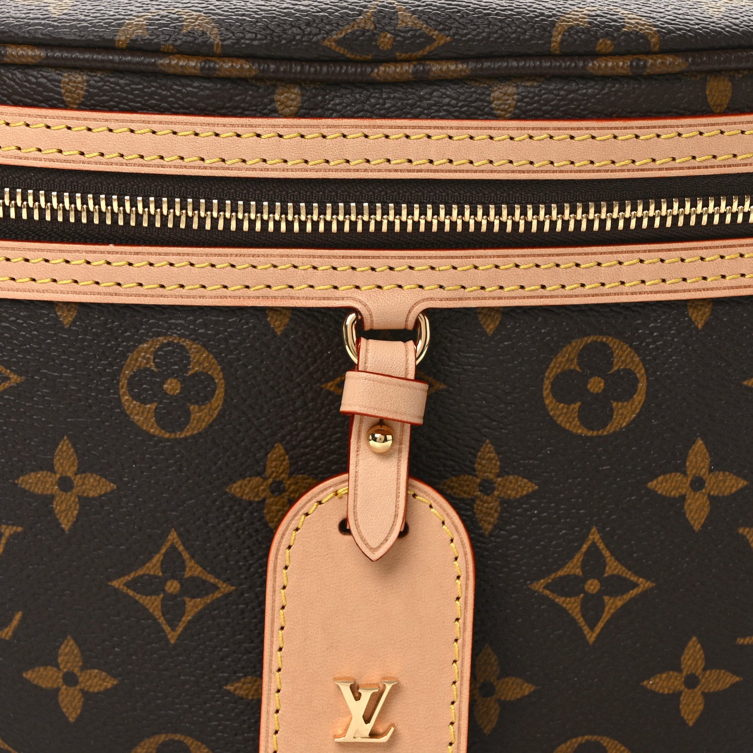 Louis Vuitton Monogram High Rise Bumbag 7 of 11