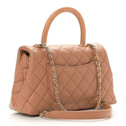 Chanel Caviar Quilted Mini Coco Handle Flap Brown 3 of 11