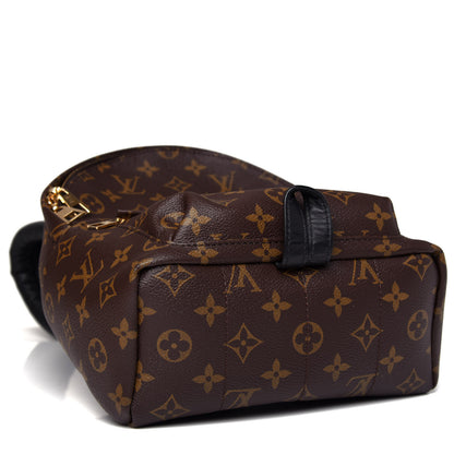 Louis Vuitton Monogram Palm Springs Backpack PM 4 of 9
