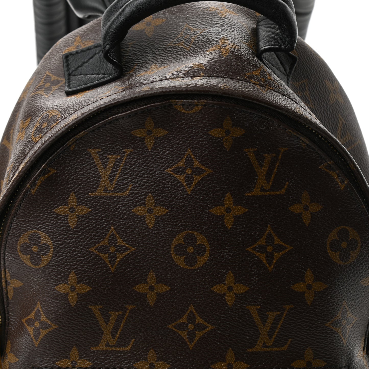 Reverse Monogram Palm Springs Backpack PM