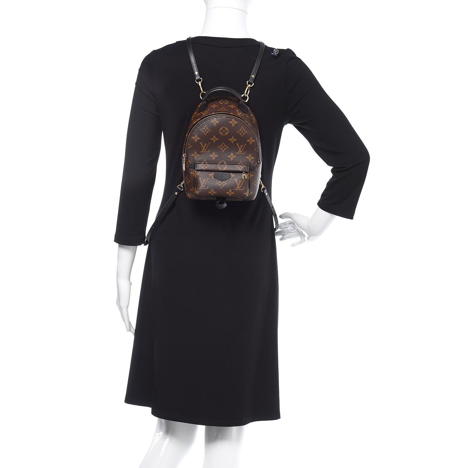 Louis Vuitton Monogram Palm Springs Backpack Mini 1 of 12