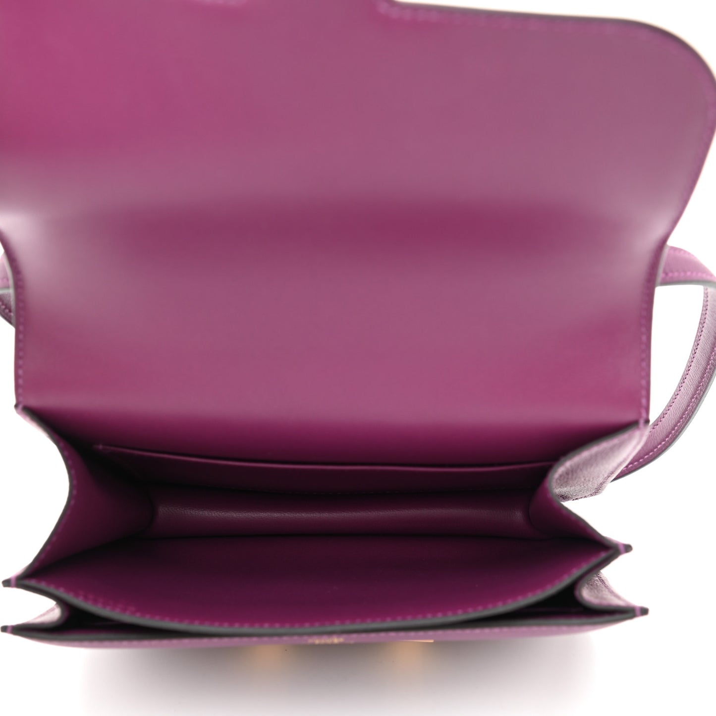 Evercolor Constance 18 Anemone