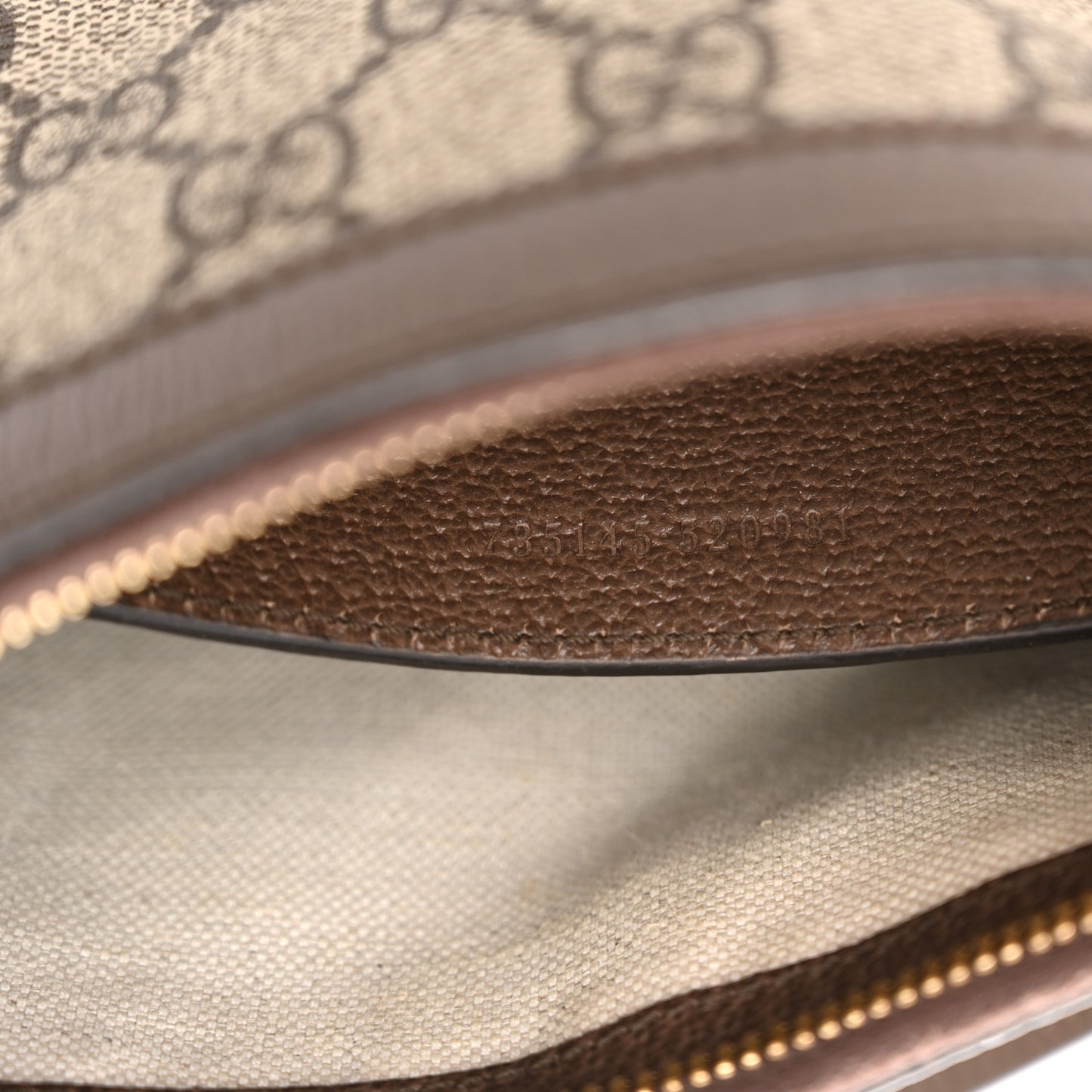 GG Supreme Monogram Textured Dollar Calfskin Small Ophidia Hobo Beige Ebony New Acero