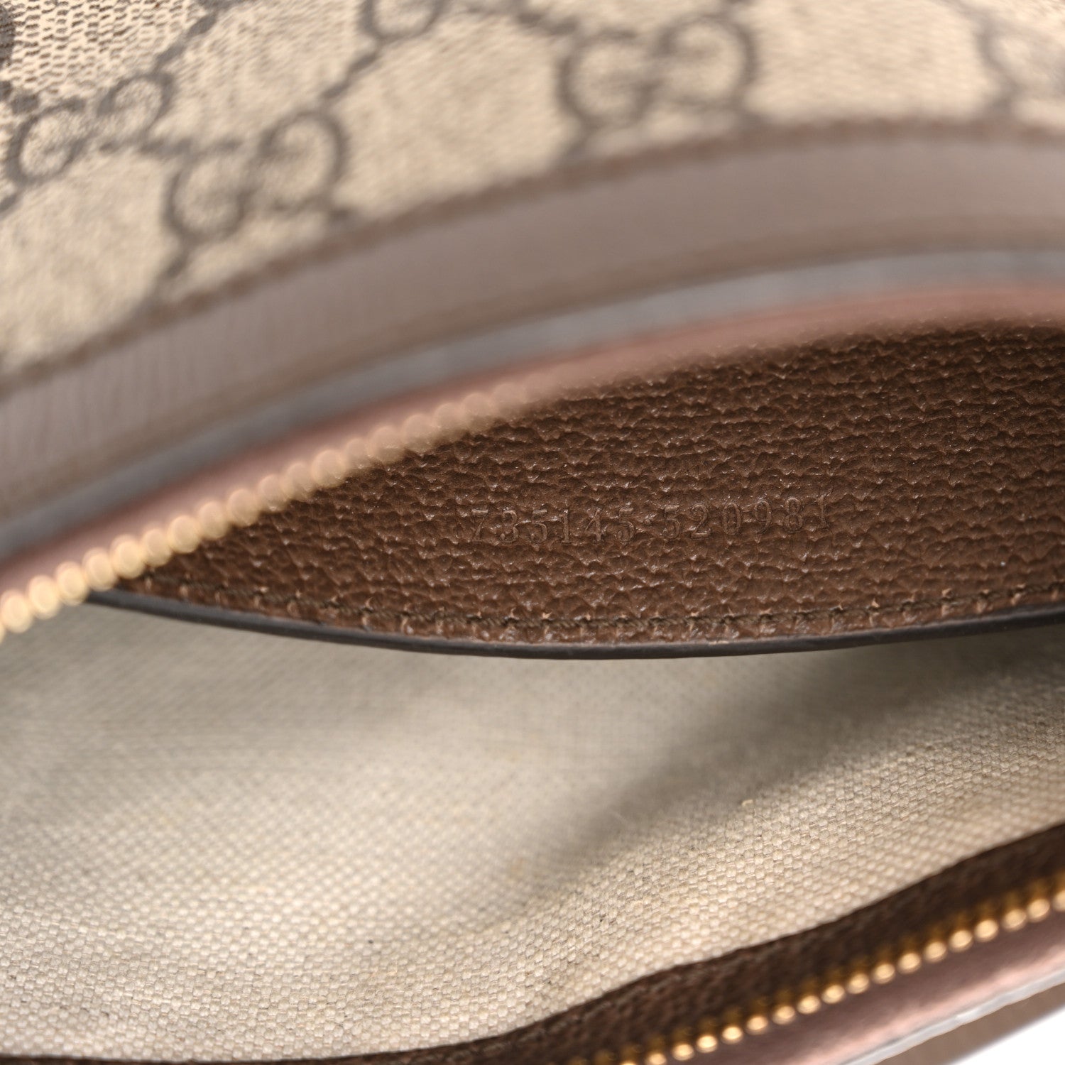 Gucci GG Supreme Monogram Textured Dollar Calfskin Small Ophidia Hobo Beige Ebony New Acero 7 of 12