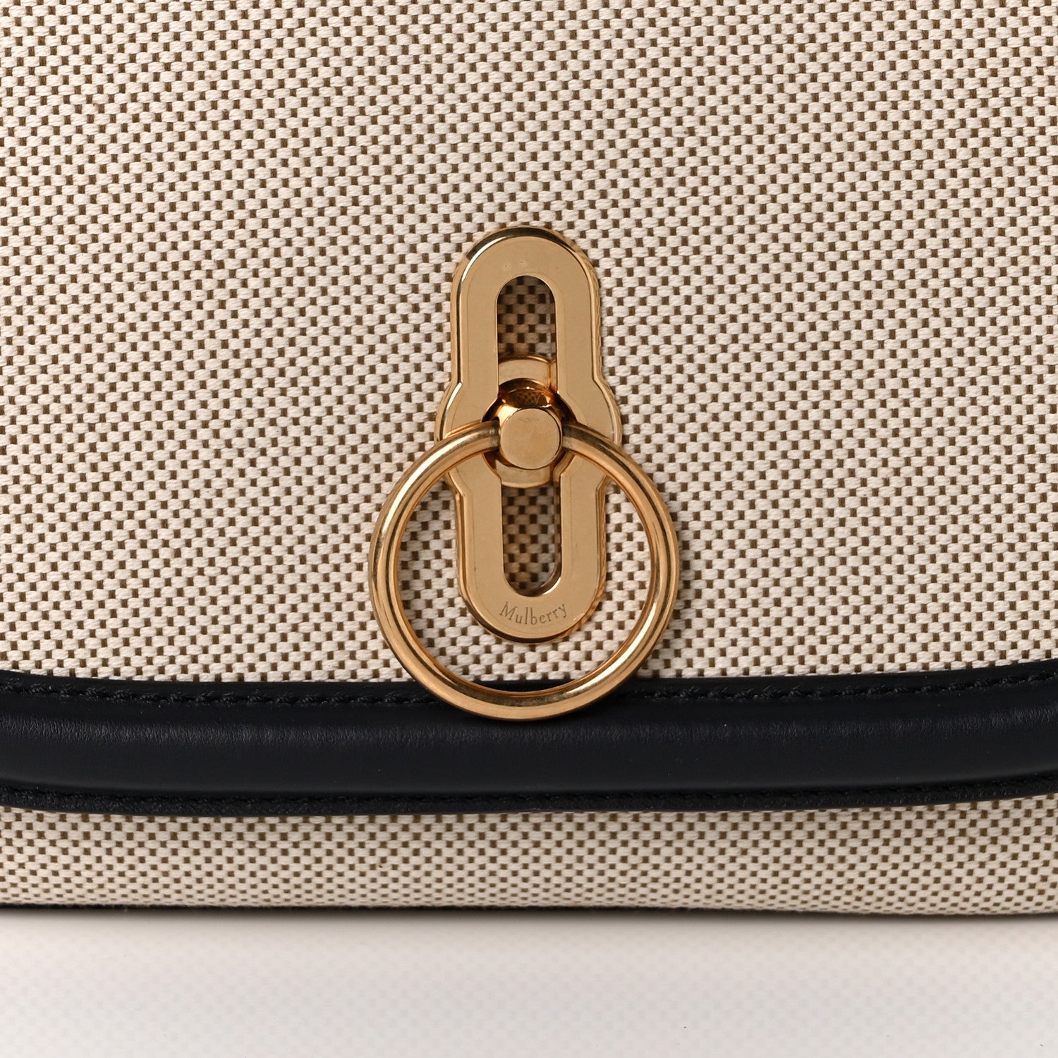 Mulberry Canvas Calfskin Amberley Satchel 7 of 9