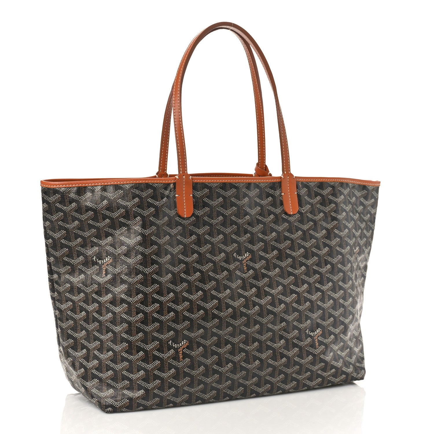 Goyard Goyardine Saint Louis PM Black Gold 3 of 8