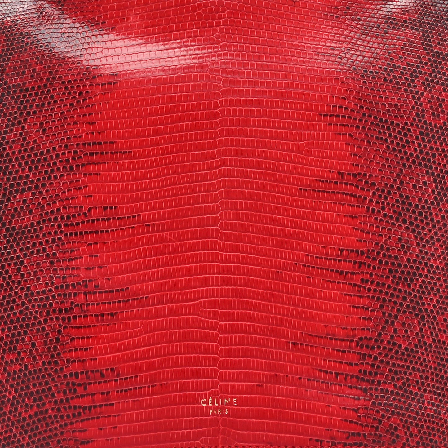 Lizard Mini Clasp Bag Red