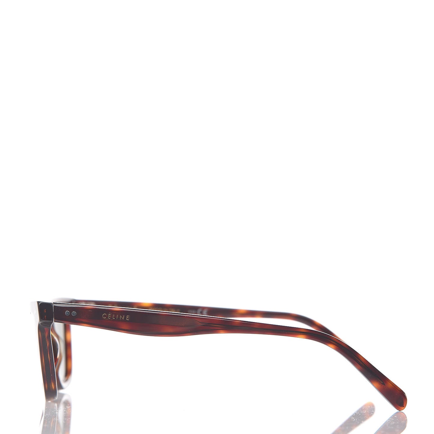 Acetate Cat Eye Sunglasses CL400231 Tortoise