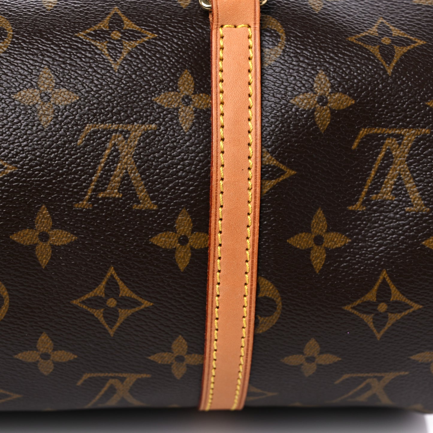 Monogram Papillon 30 With Companion