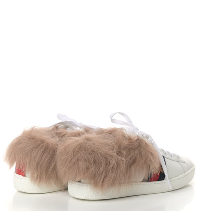 Gucci Calfskin Wool Bee Embroidered Ace Sneakers 35 White 4 of 7