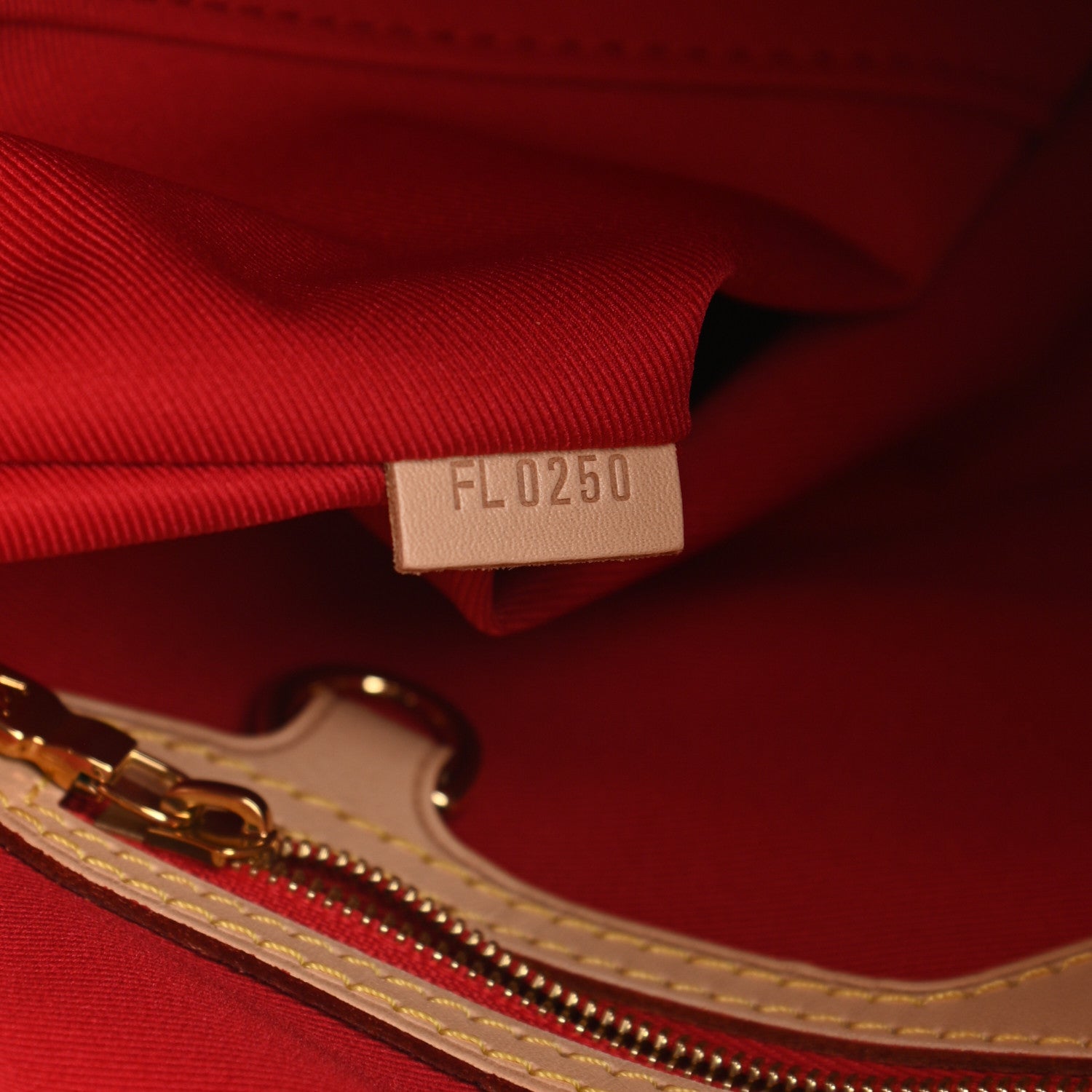Louis Vuitton Monogram Carry It 8 of 11