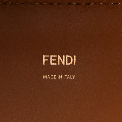 Fendi Vitello King Plexiglass Medium Fendi Sunshine Shopper Tote Cuoio 6 of 9