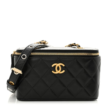 Chanel Goatskin Quilted Punk Essentials Vanity Case With Chain Black 1 of 12