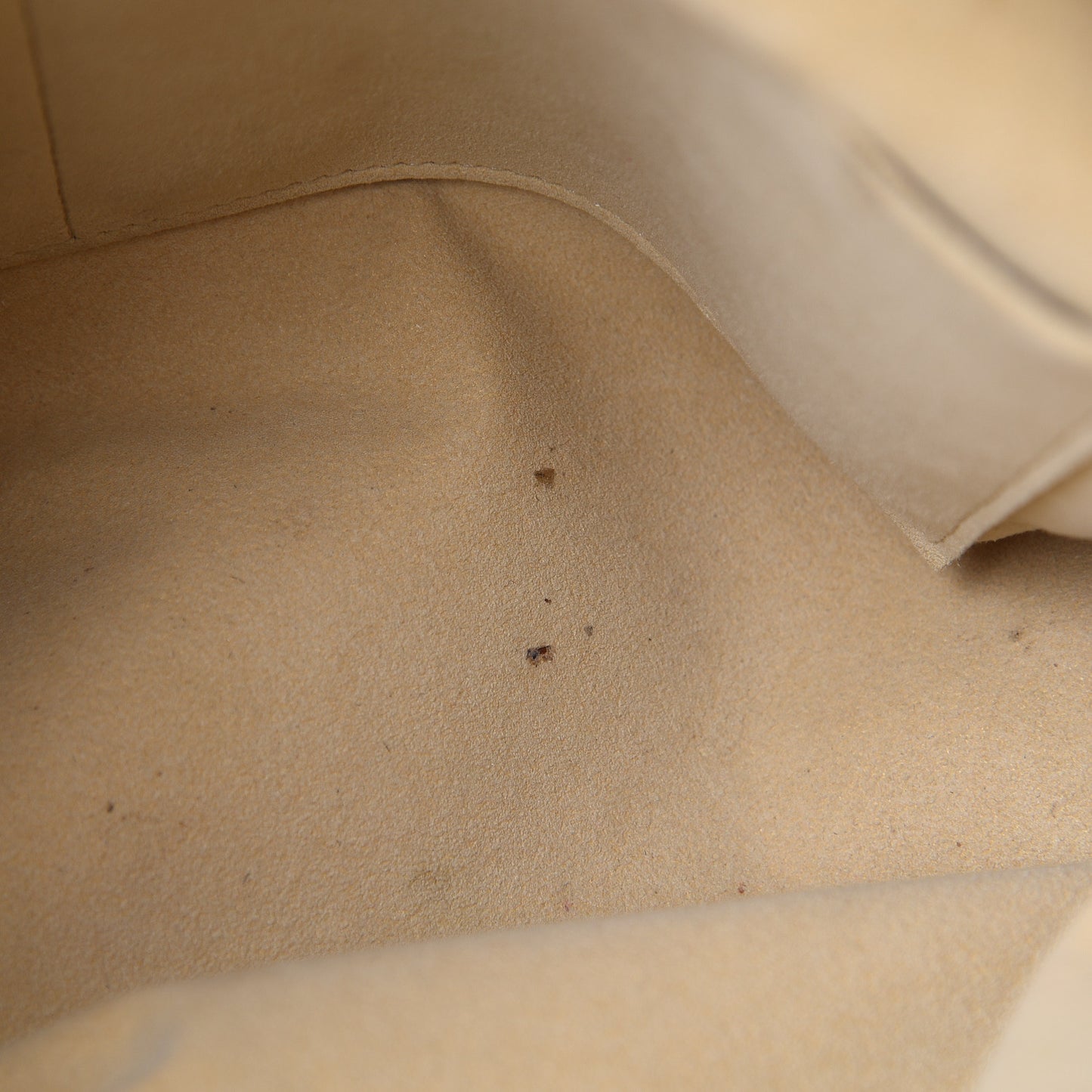 Monogram Boetie MM