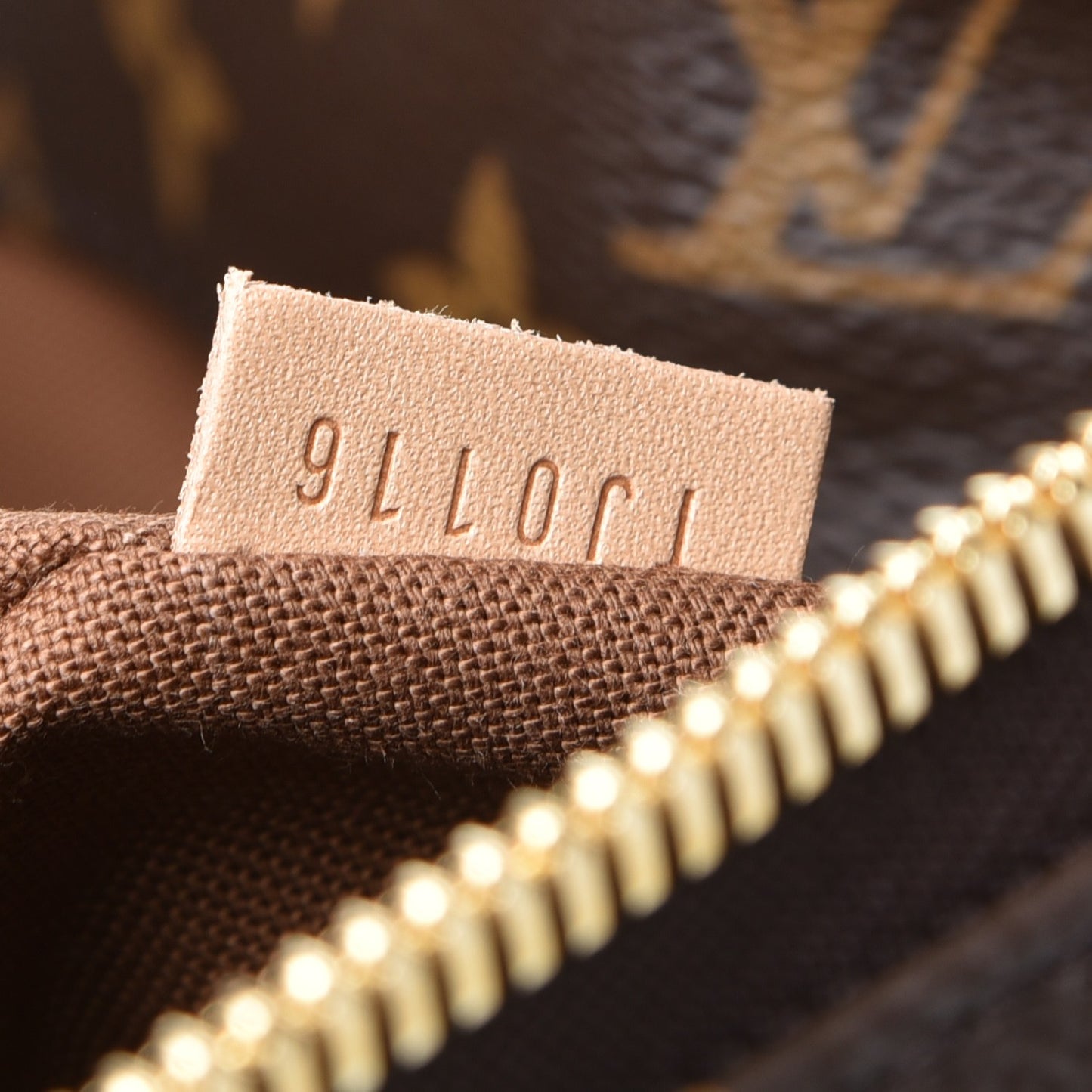 Monogram Sully MM