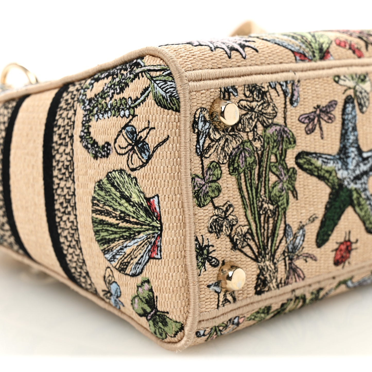 Canvas Cabinet De Curiosites Embroidered Medium Lady D-Lite Beige Multicolor