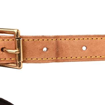 Louis Vuitton Monogram Croissant PM 12 of 17