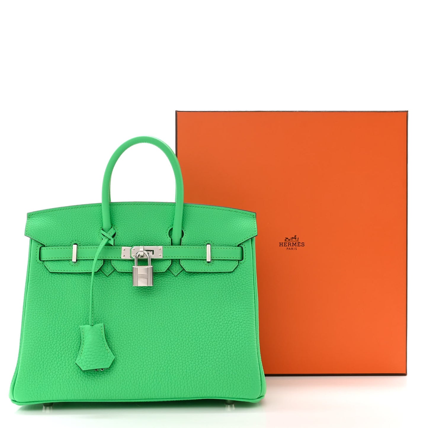 Togo Birkin 25 Vert Comics