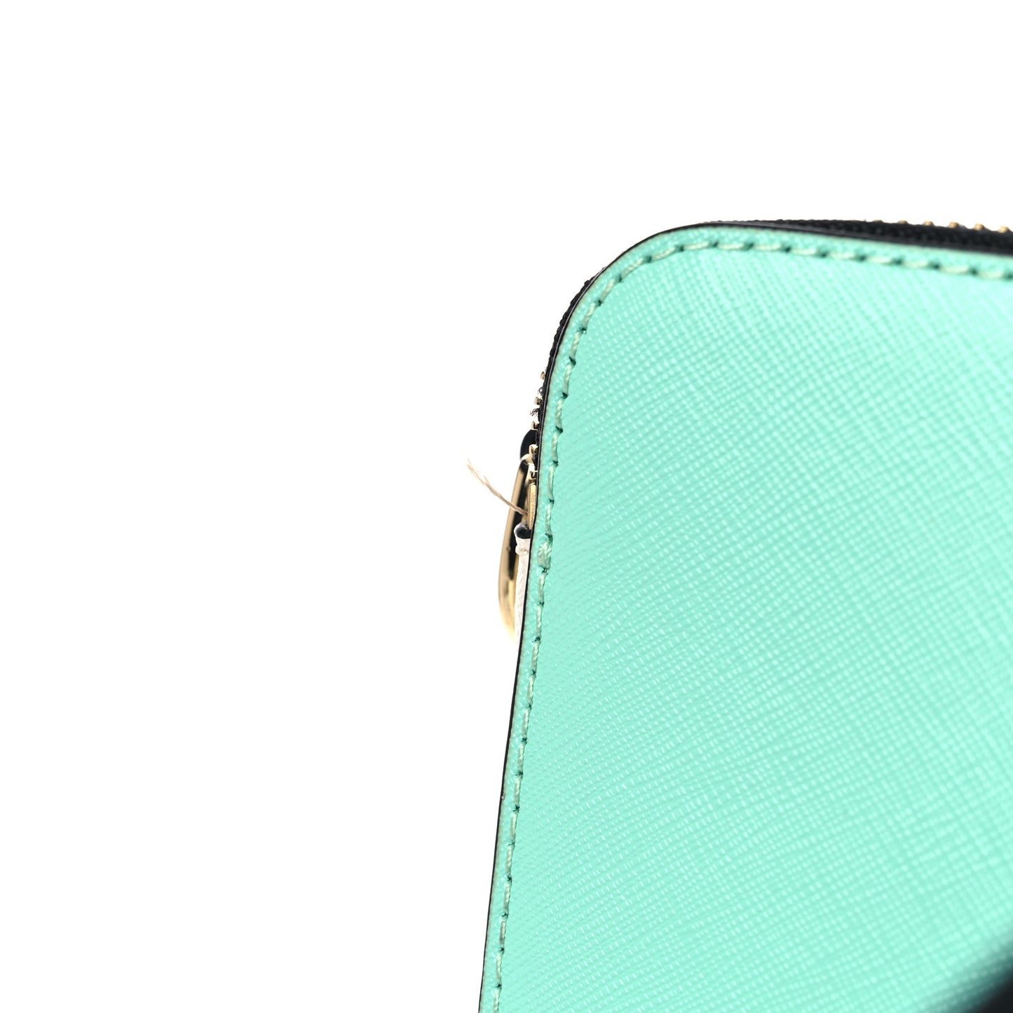 Saffiano Small Snapshot Camera Bag Mint Julep Multicolor