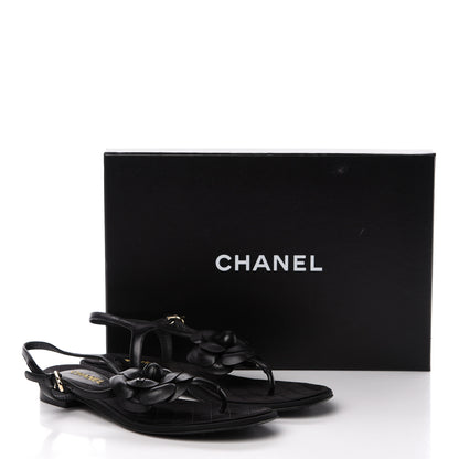 Chanel Lambskin Camellia Thong Sandals 38.5 Black 18 of 18