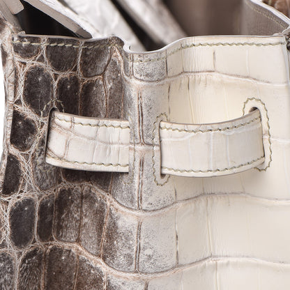 Hermes Matte Niloticus Crocodile Himalaya Birkin 30 Blanc 38 of 49