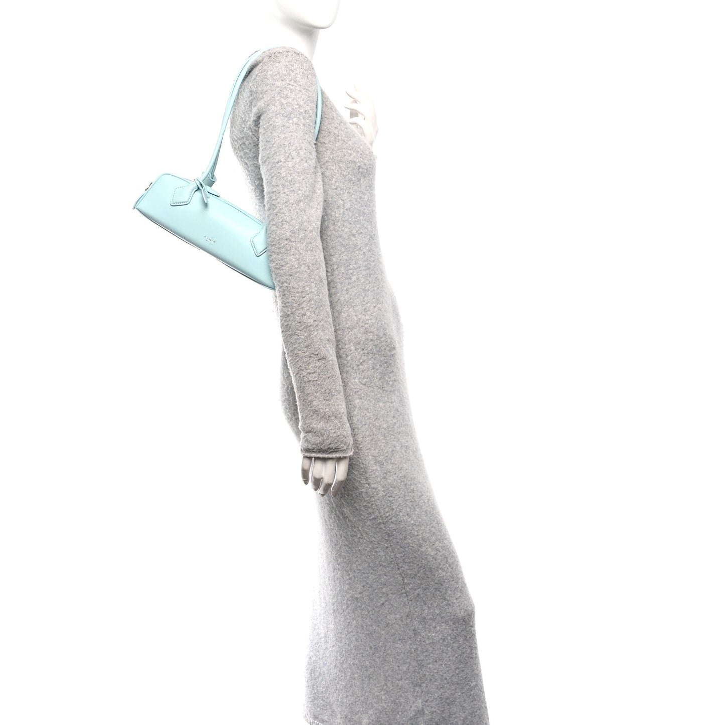 Goatskin Small Le Teckel Bag Lagon