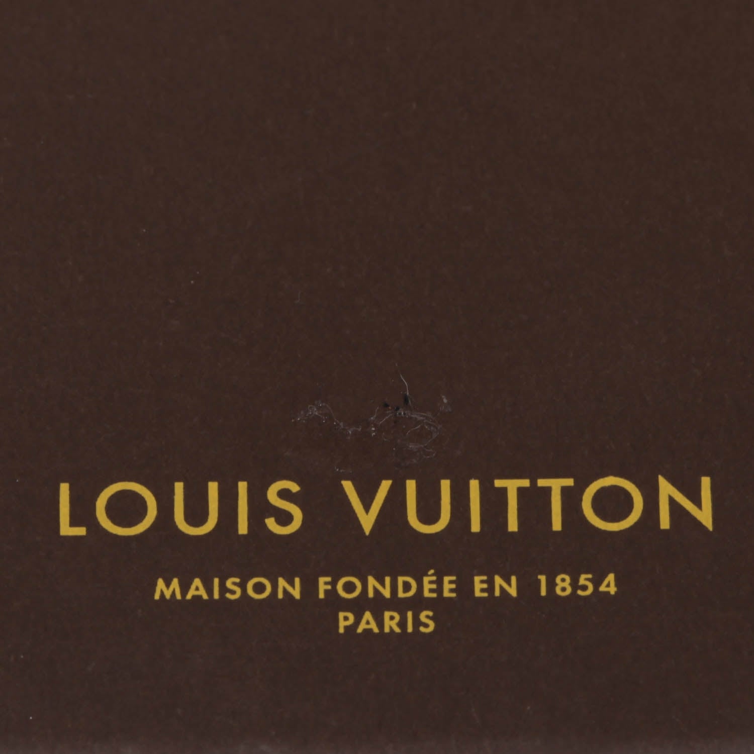 Louis Vuitton New York City Guide Book 4 of 6