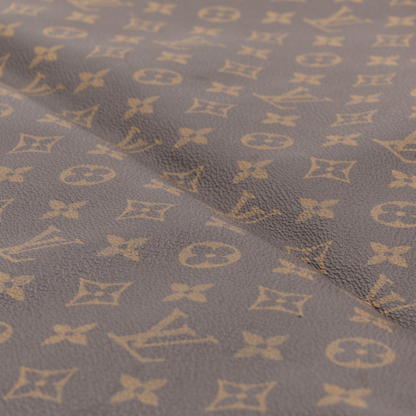 Monogram Garment Cover