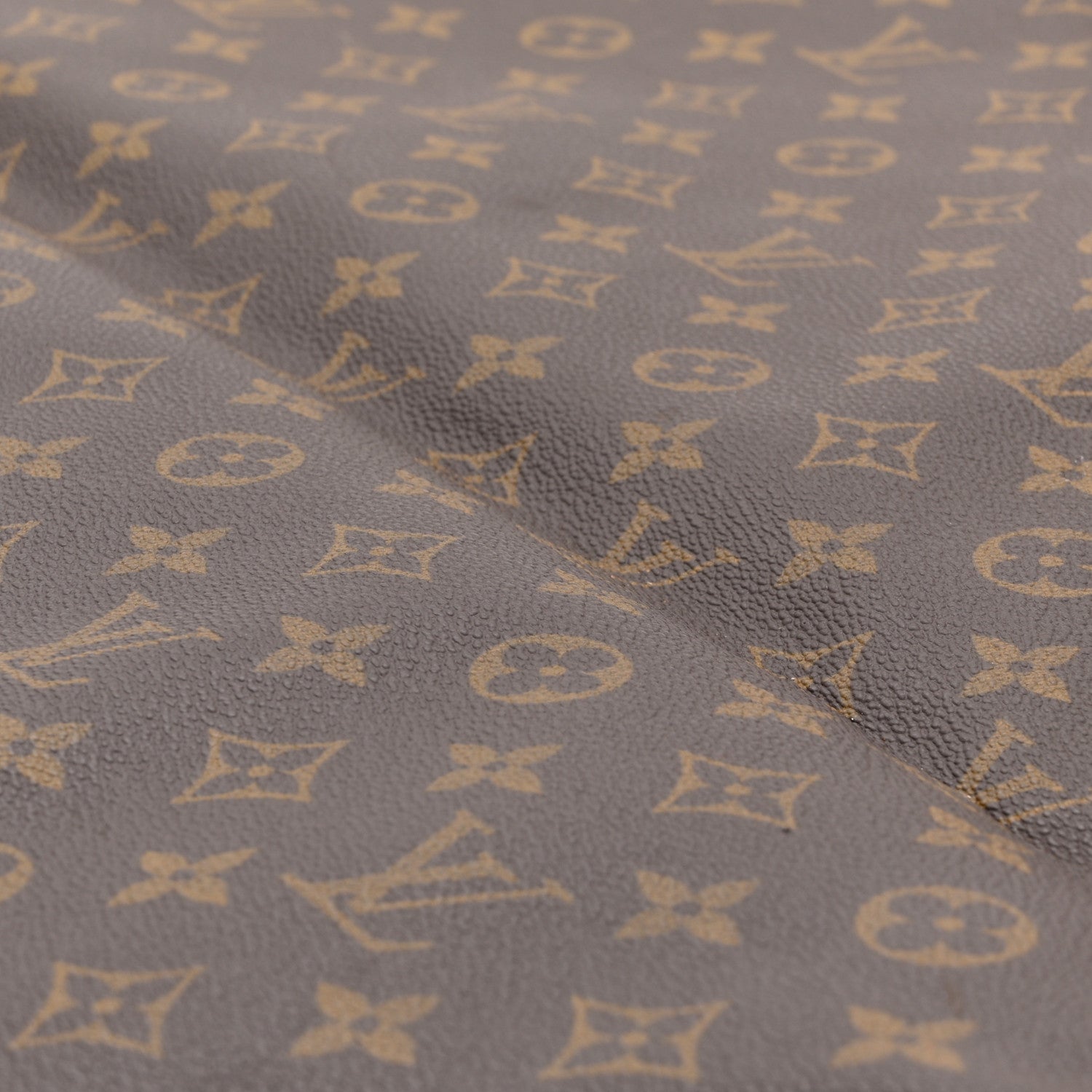 Louis Vuitton Monogram Garment Cover 9 of 11