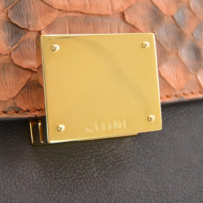 Celine Python Suede Trapeze Blush 5 of 8