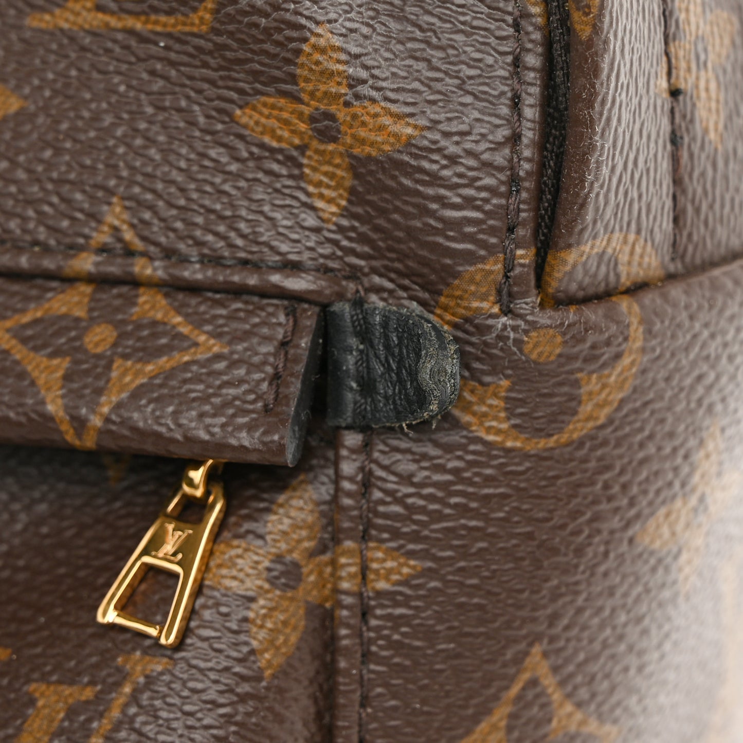 Monogram Palm Springs Backpack Mini