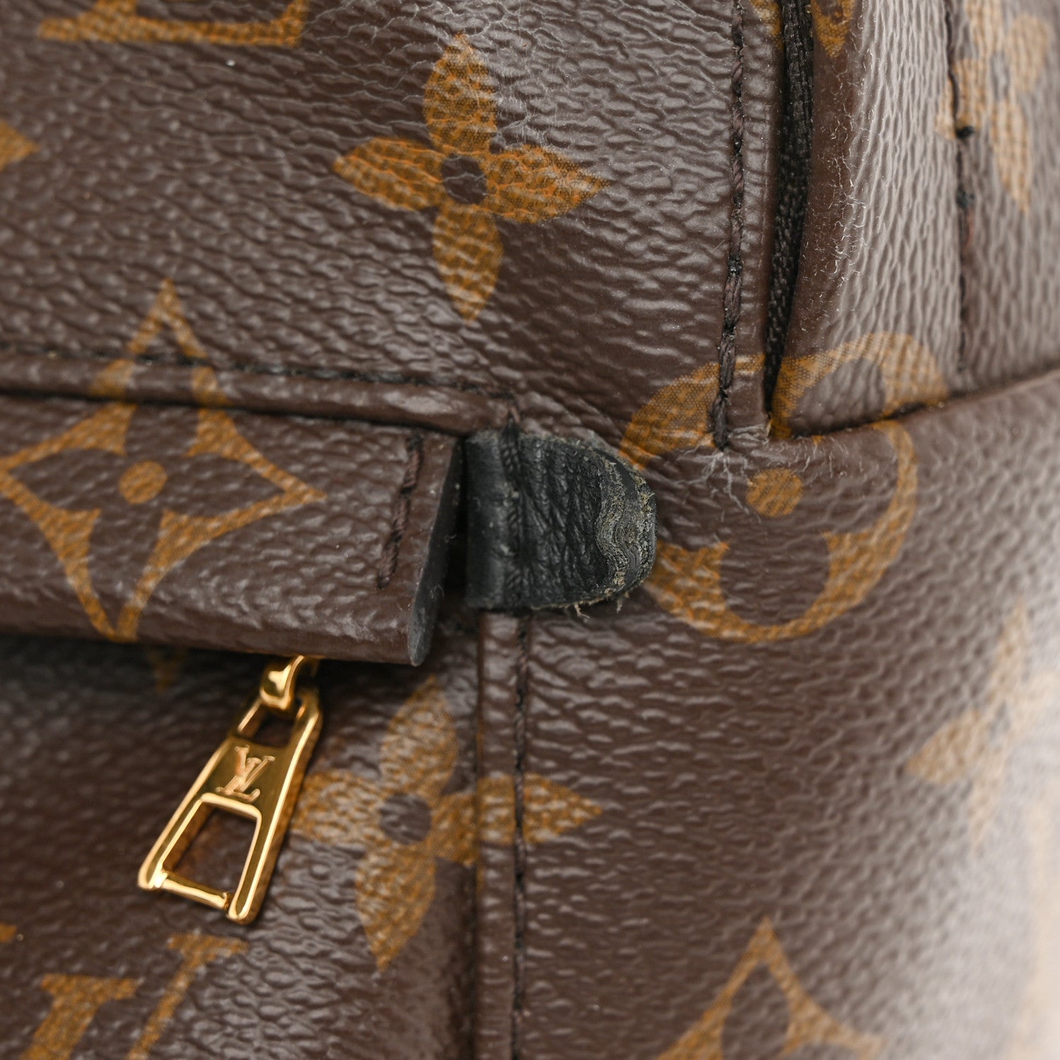 Louis Vuitton Monogram Palm Springs Backpack Mini 12 of 13