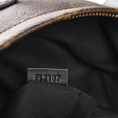 Louis Vuitton Monogram Palm Springs Backpack PM 7 of 7