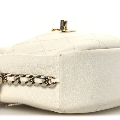 Chanel Goatskin Quilted Small Casual Trip Camera Case White 9 of 12