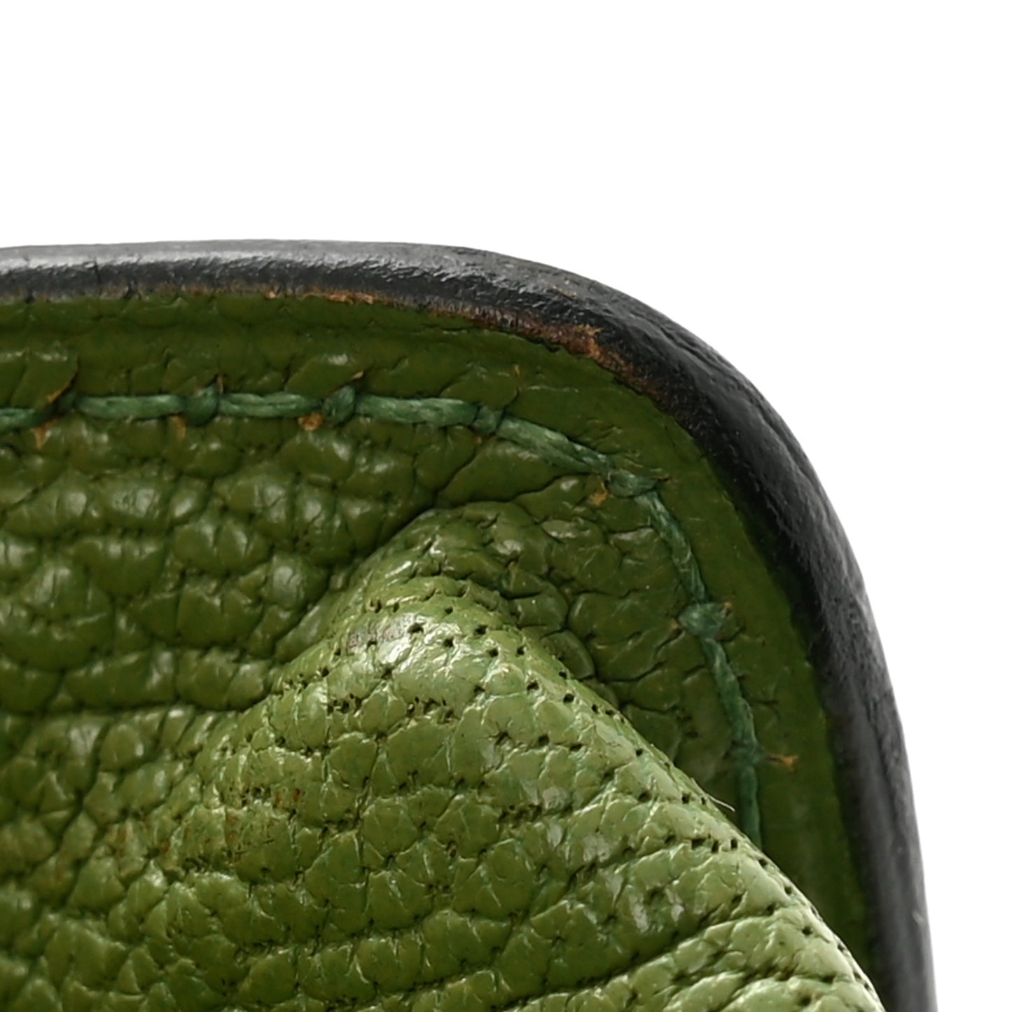 Chevre Mysore Pen Case Vert Anis