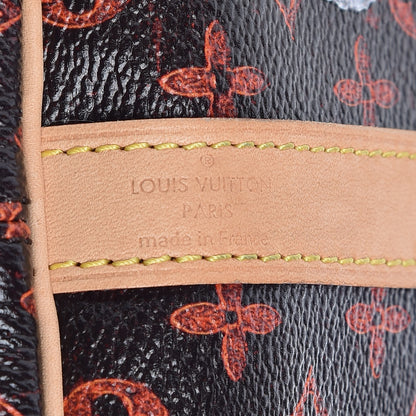 Louis Vuitton Catogram Speedy Bandouliere 30 Marron 8 of 16