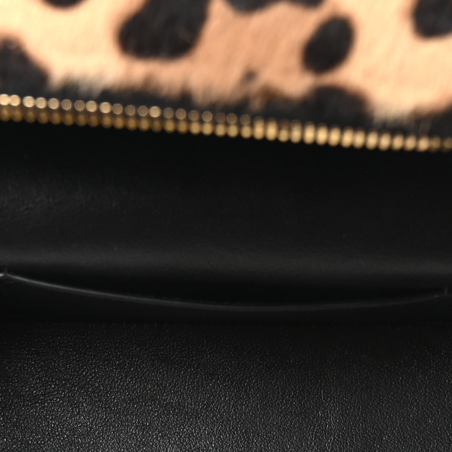 Pony Hair Leopard Print Mini Gaby Vanity Case Brown Black