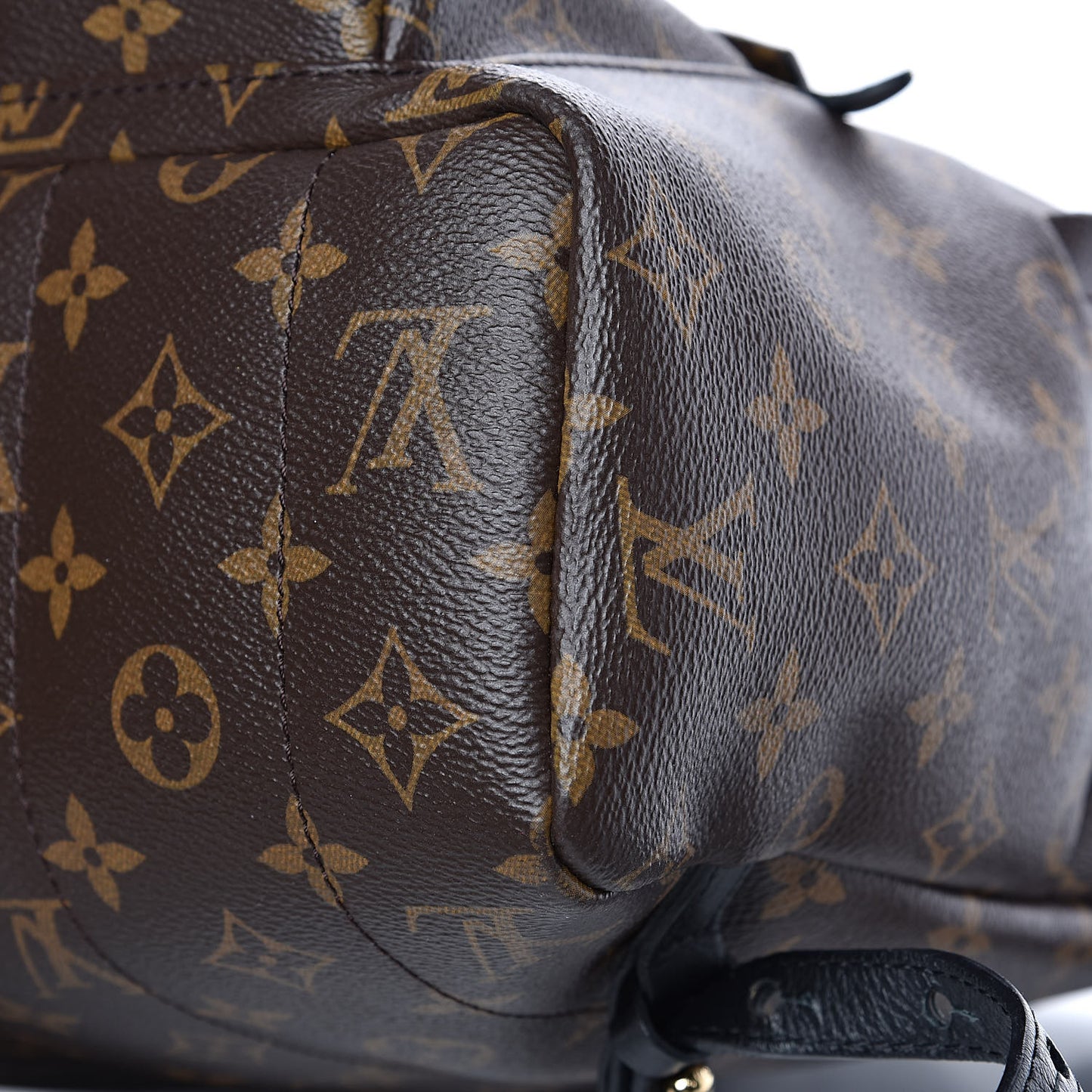 Monogram Palm Springs Backpack MM
