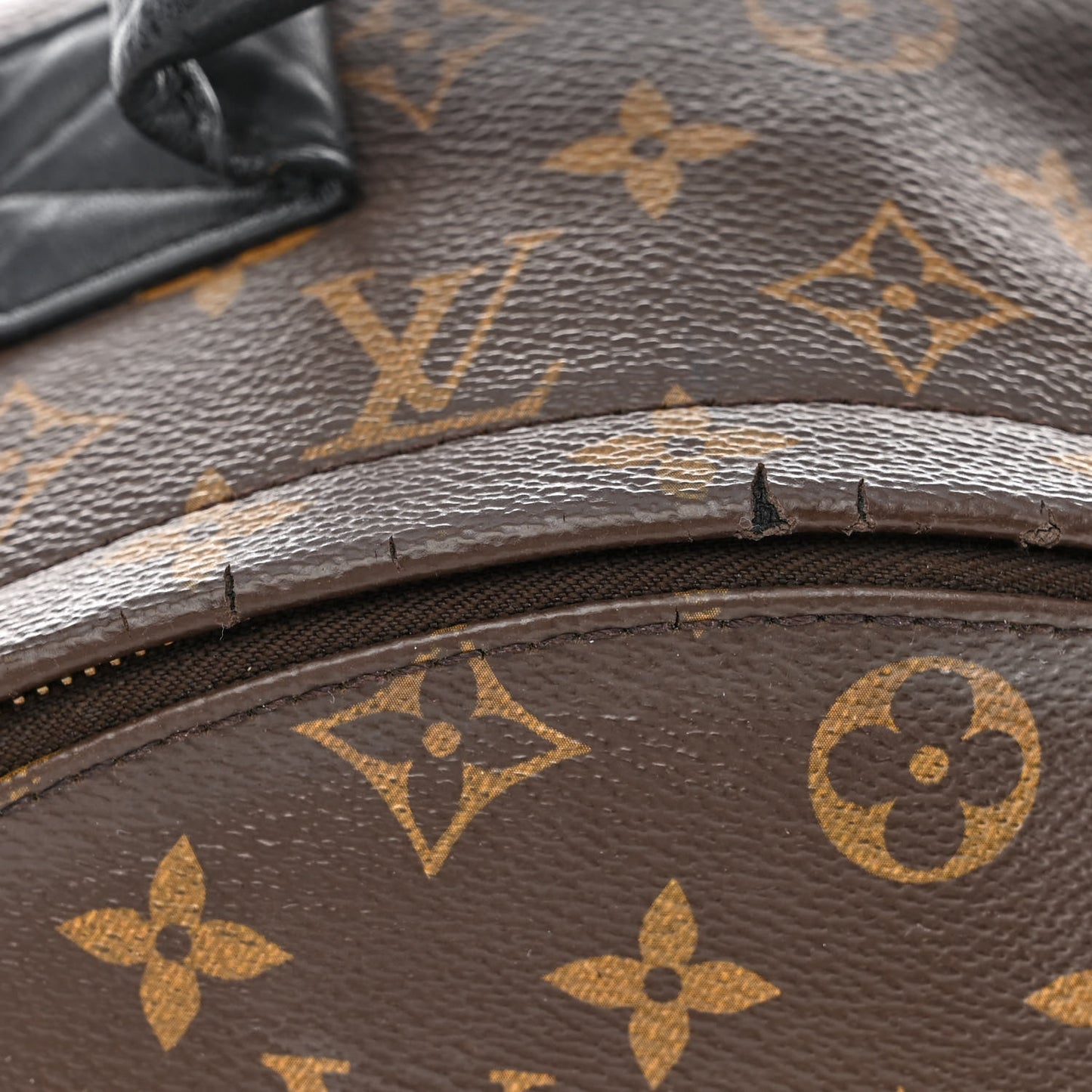 Monogram Palm Springs Backpack MM